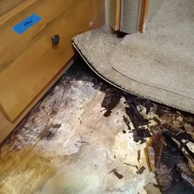 Wood Floor Water Damage in Wyoming, MI